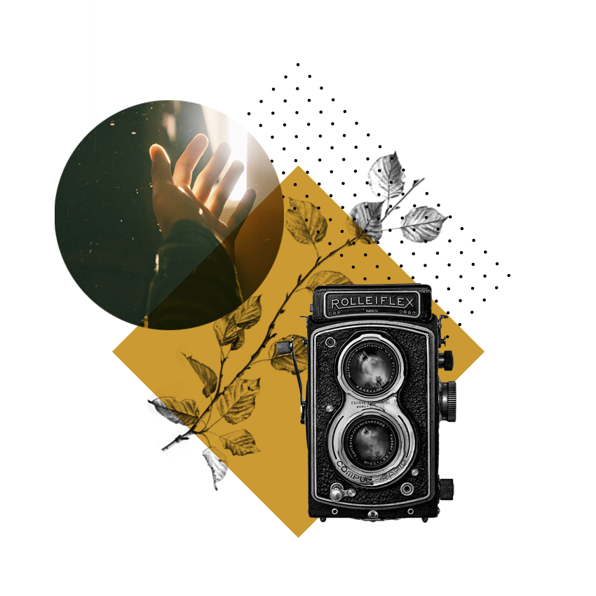 Fotografía profesional en Navarra